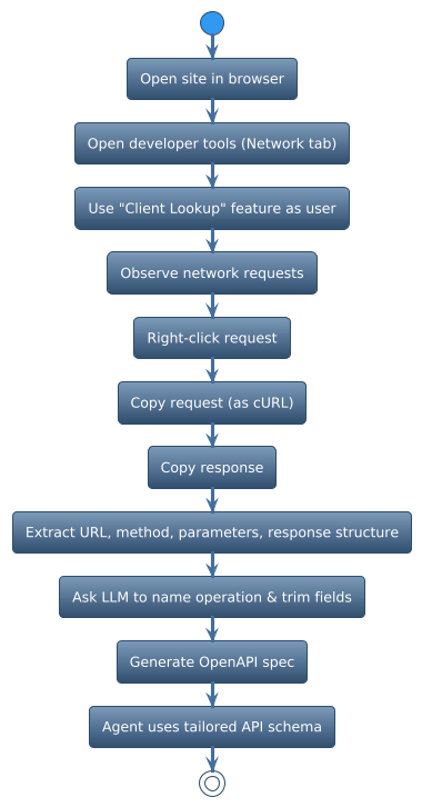 Flow for deriving an API schema when no docs exist